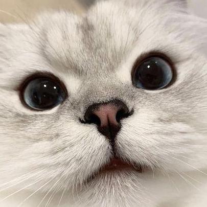 My profile picture.